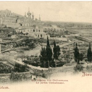 Palestine Jerusalem Garden of Gethsemane