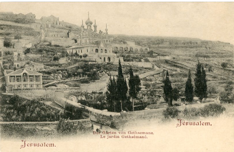 Palestine Jerusalem Garden of Gethsemane