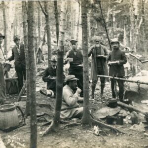 Canada Quebec Maple Tree Tapping photocard