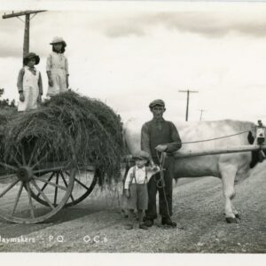 Canada Gaspesian Haymakers Ox Cart ed Henderson