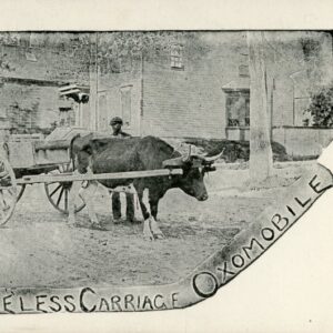Canada Nova Scotia Ox Cart Oxomobile