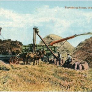 Canada Threshing Scene Horse Cart Harvester