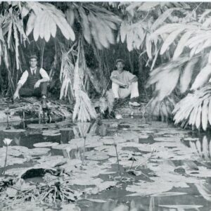 Ascension Dew Pond 2,800 ft. above Sea Level