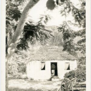 Bahamas Native Thatched Cottage photocard