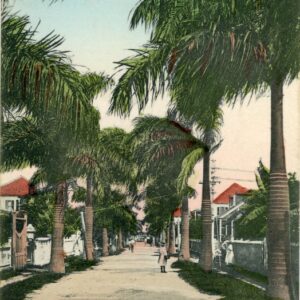 Bahamas Nassau Victoria Avenue ed Sands