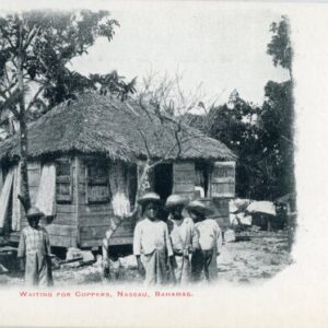 Bahamas Nassau Waiting for Coppers