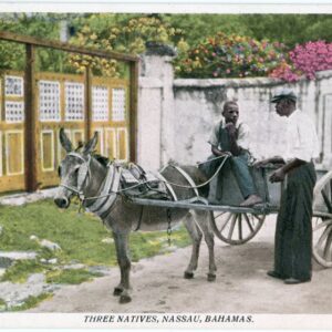 Bahamas Nassau Three Natives Donkey Cart ed Sands