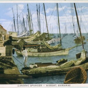 Bahamas Nassau Landing Sponges ed Sands
