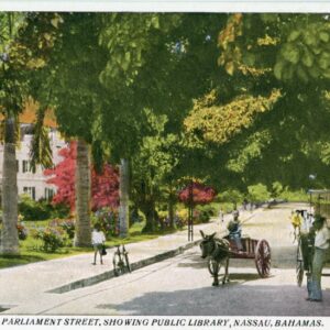 Bahamas Nassau Silk Cotton Tree ed Moseley