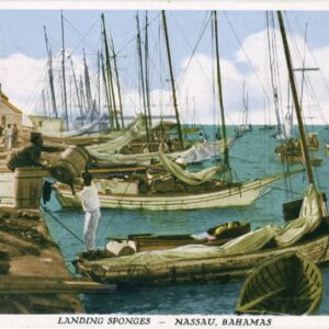 Bahamas Nassau Landing Sponges 1932 to England ed Sands
