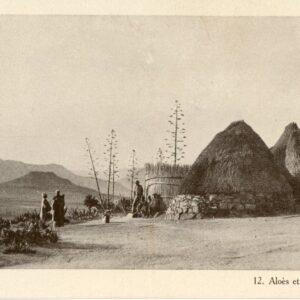 Basutoland Aloes Native Huts Missionary card