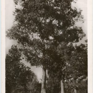 Basutoland Morija Oldest Mission Station ed Sesuto