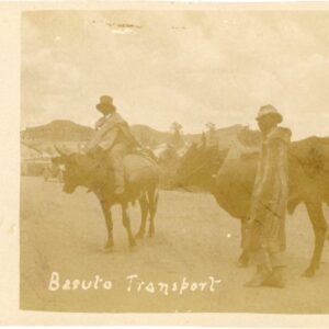 Basutoland Lesotho Transport on Buffalo photocard