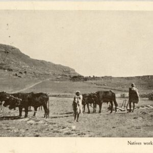 Basutoland Natives working in the Fields 1929 Morija