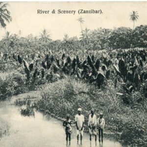 Zanzibar River & Scenery ed Abdula Dala Visram