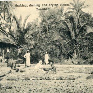 Zanzibar Husking Shelling and Drying Coconuts ed Lord