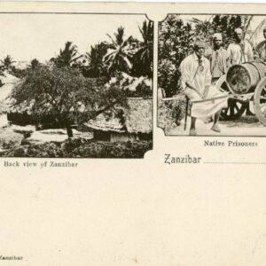 Zanzibar Native Prisoners ed Gomes
