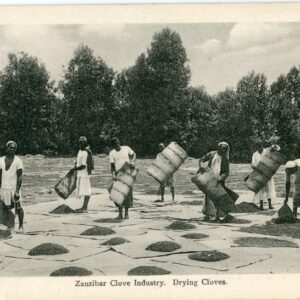 Zanzibar Drying Cloves ed Gomes