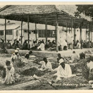 Zanzibar Clove Industry ed Gomes