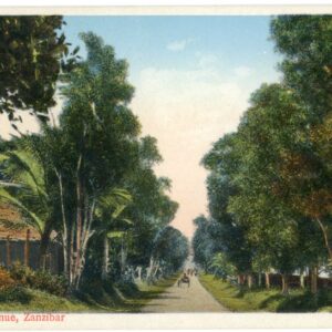 Zanzibar Cloves Avenue ed Gomes