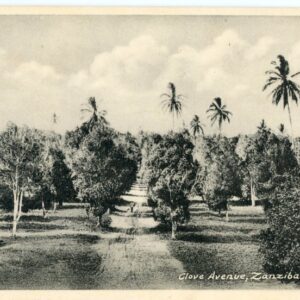 Zanzibar Clove Avenue ed Gomes