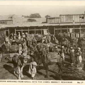 Pakistan Peshawar Camel Caravan from Kabul photocard