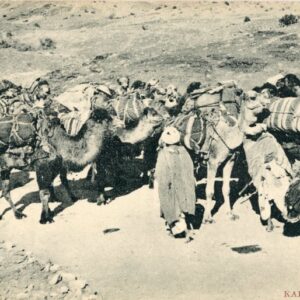 Afghanistan Kabul Camel Convoy ed Mela Ram