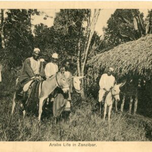 Zanzibar Arab Life ed Gomes