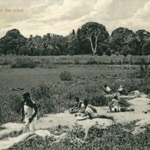 Zanzibar Washing at the Pond ed Lord