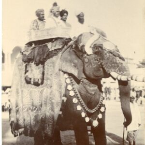 India Elephant photo Guerra Mhow