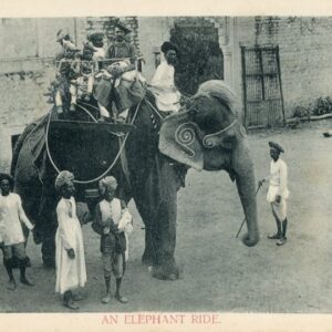 India Elephant Ride 1905 Bombay to Southampton