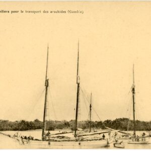 Gambia Cutter Ship Transporting Nuts CMC 41