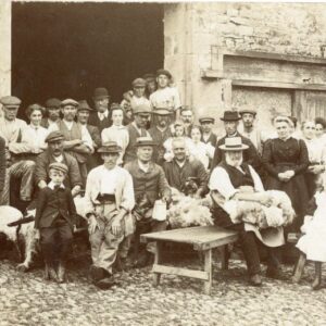 Canada British Columbia Simpsons sheep shearing