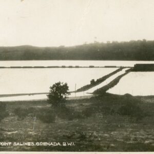 Grenada Point Salines Salt Pond