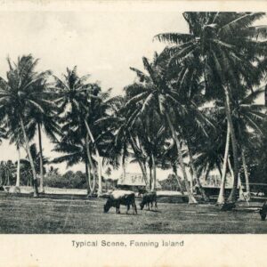 Kiribati Fanning Island Scene Gilbert Ellice