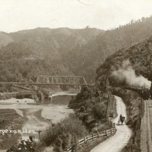 New Zealand Manawaku Gorge