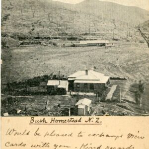 New Zealand Bush Homestead 1905 to Tongres Belgium