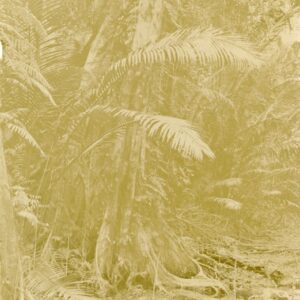 Marshall Islands unused photocard