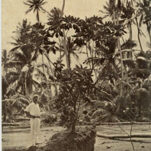 Kiribati Fanning Island Gilbert Ellice ed Mills