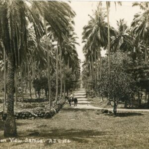 Samoa Plantation View photocard
