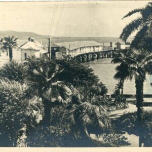 Abkhazia Sukhumi Georgia photocard 1957 to Erfurt DDR