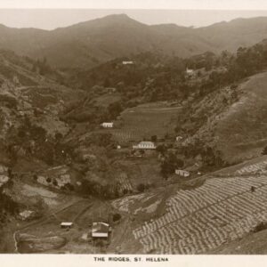 St Helena The Ridges photocard