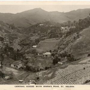 St Helena Central Ridges Diana's Peak 1916 to Sheffield