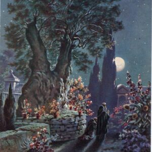 Palestine Jerusalem Garden Gethsemane