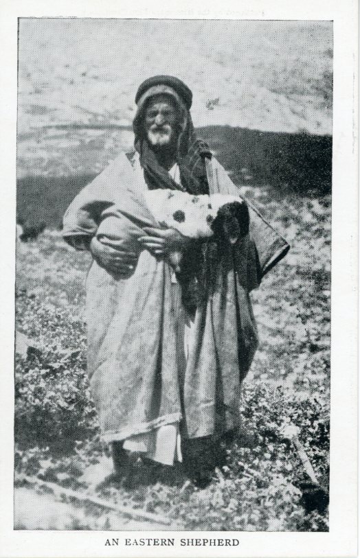 Palestine Eastern Shepperd ed Missionary Film Committee