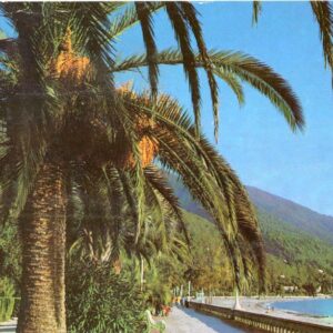 Georgia Abkhazia Gagra 1983 to Berlin