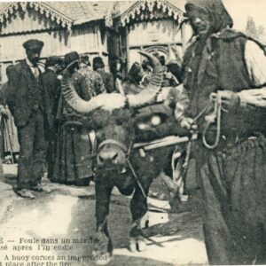 Greece Salonica Animal Market after Fire