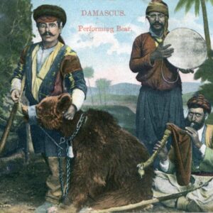 Syria Damascus Performing Bear 1912 used in UK