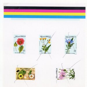 1972-73 Morocco Flowers Proof Sheet with Unissued 50c unique