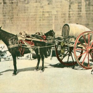 Malta Water Cart ed Vincenzo Galea di Antonio